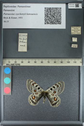 Media type: image;   Entomology 180330